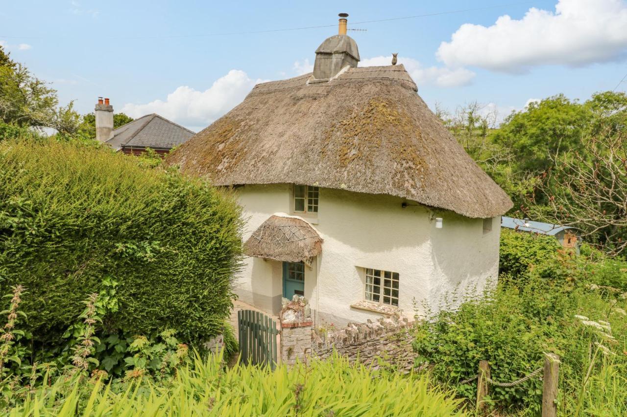 Elworthy Cottage Солкомб Экстерьер фото
